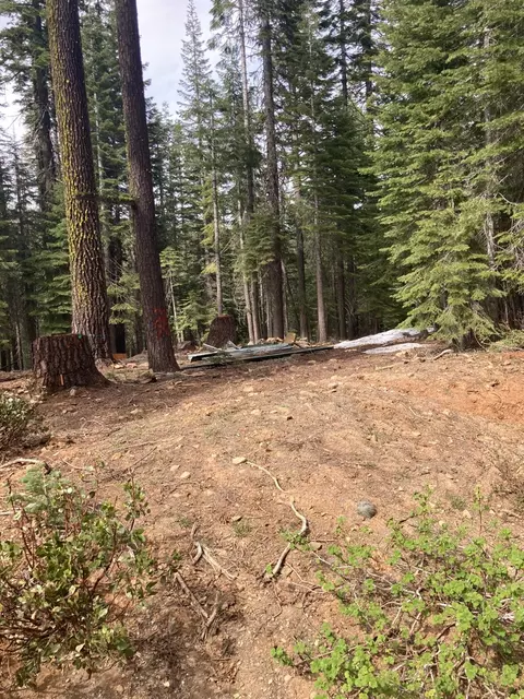 8896 Big Creek Rd, Bucks Lake, CA 95971