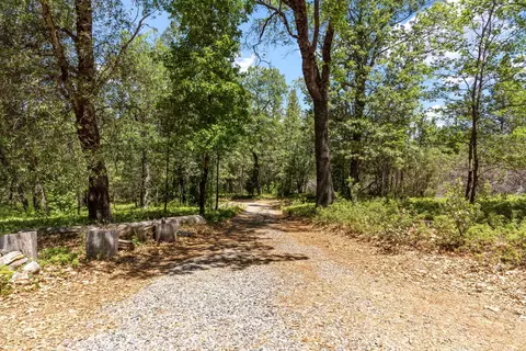 2640 Trail Gulch Rd, Placerville, CA 95667 photo 3