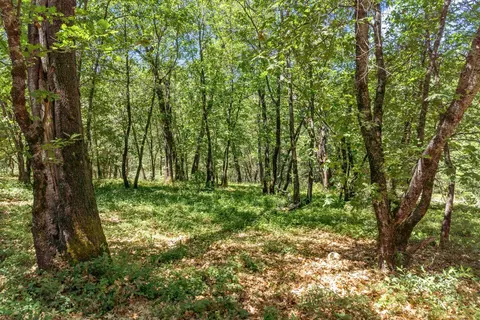 2640 Trail Gulch Rd, Placerville, CA 95667 photo 31