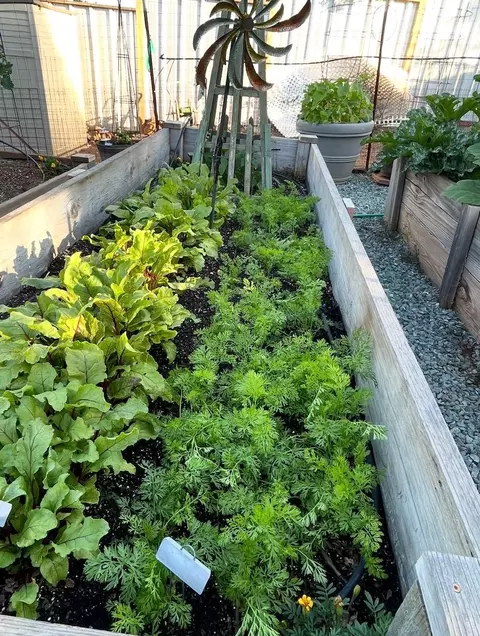 Other - 4001 Walnut Dr, Rescue, CA 95672 photo 17 of 20