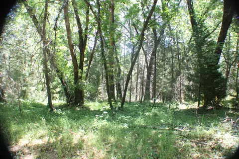 21785 Hwy 26, West Point, CA 95255 photo 12