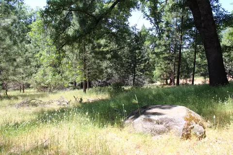 21785 Hwy 26, West Point, CA 95255 photo 6