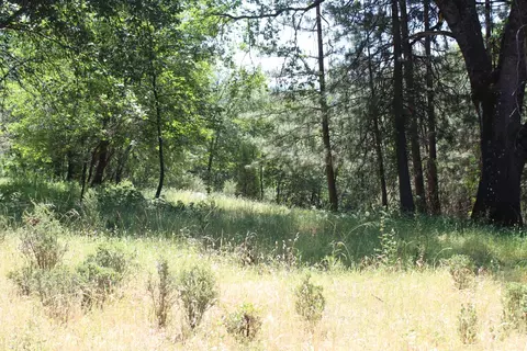 21785 Hwy 26, West Point, CA 95255 photo 4