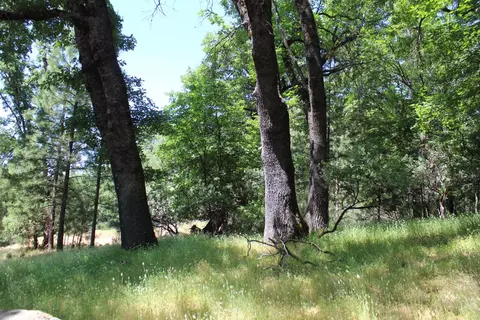 21785 Hwy 26, West Point, CA 95255 photo 11