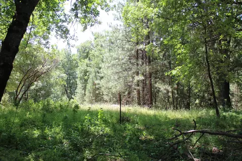 21785 Hwy 26, West Point, CA 95255 photo 5
