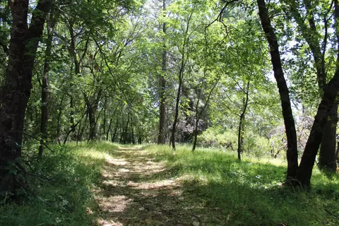 21785 Hwy 26, West Point, CA 95255 photo 2