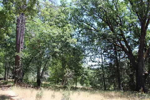 21785 Hwy 26, West Point, CA 95255 photo 13