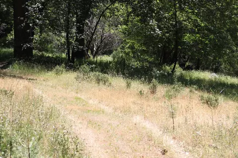 21785 Hwy 26, West Point, CA 95255 photo 3