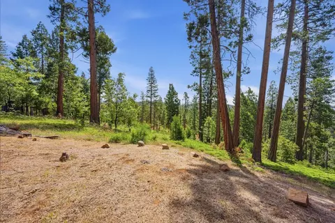 Exterior - 3076 Forest Ln, Arnold, CA 95223 photo 12 of 16