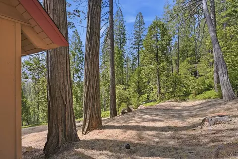 Exterior - 3076 Forest Ln, Arnold, CA 95223 photo 6 of 16
