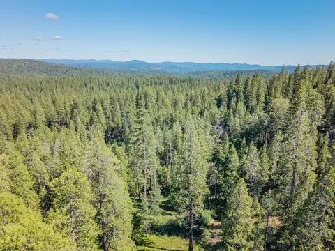 View/Area - 3076 Forest Ln, Arnold, CA 95223 photo 1 of 3
