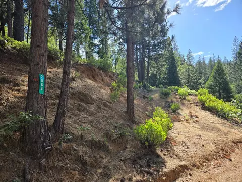 2964 Murphys Dr, Arnold, CA 95223 photo 2