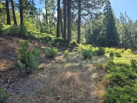 2964 Murphys Dr, Arnold, CA 95223 photo 3