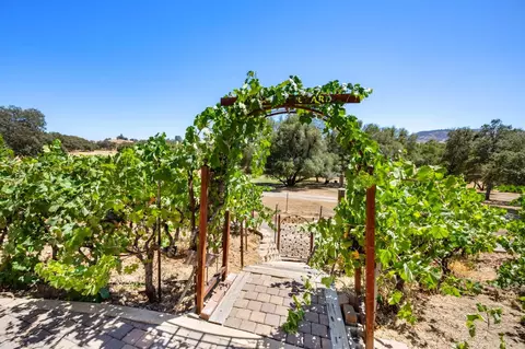 Exterior - 620 Smith Flat Rd, Angels Camp, CA 95222 photo 6 of 14
