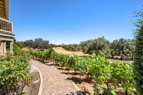 Exterior - 620 Smith Flat Rd, Angels Camp, CA 95222 photo 7 of 14