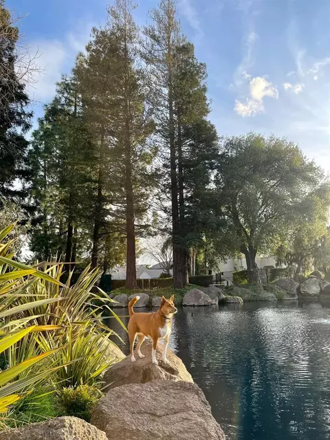 Other - 1009 Copper Lake Ct, Modesto, CA 95355 photo 10 of 19