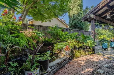 Exterior - 2622 Tejon St, Lodi, CA 95242 photo 7 of 12