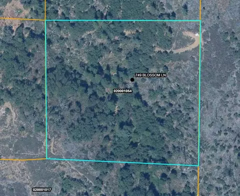 749 Blossom Ln, Mokelumne Hill, CA 95245