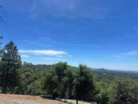 0 Bowman Rd, Pine Grove, CA 95665 photo 9
