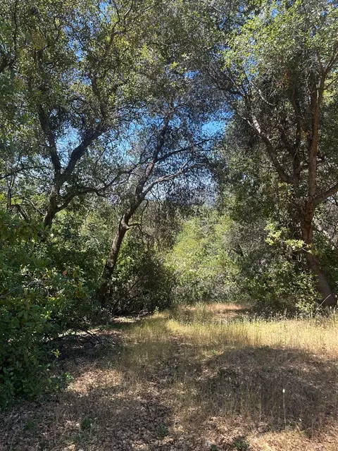 0 Bowman Rd, Pine Grove, CA 95665 photo 8