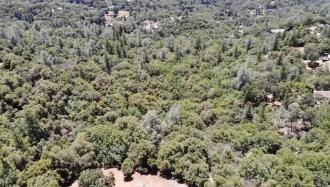 0 Bowman Rd, Pine Grove, CA 95665 photo 22