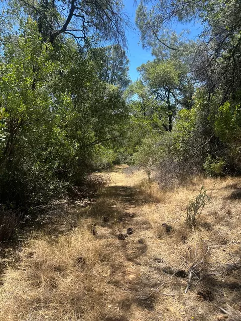 0 Bowman Rd, Pine Grove, CA 95665 photo 5