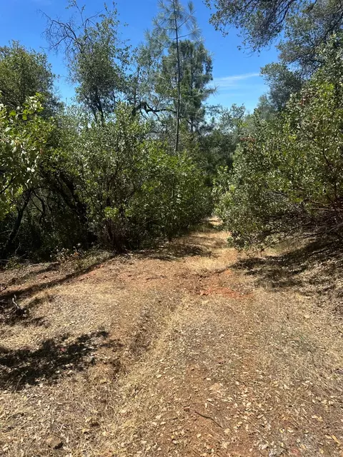 0 Bowman Rd, Pine Grove, CA 95665 photo 6