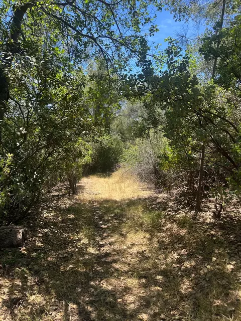 0 Bowman Rd, Pine Grove, CA 95665 photo 4