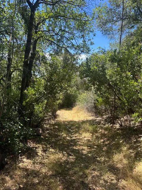 0 Bowman Rd, Pine Grove, CA 95665 photo 2