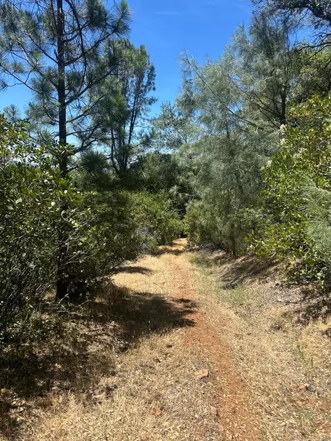 0 Bowman Rd, Pine Grove, CA 95665 photo 7