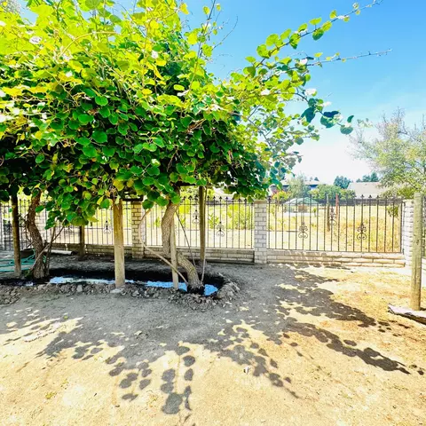 Exterior - 1633 Walnut, Escalon, CA 95320 photo 9 of 11