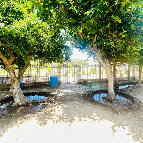 Exterior - 1633 Walnut, Escalon, CA 95320 photo 8 of 11