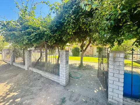 Exterior - 1633 Walnut, Escalon, CA 95320 photo 10 of 11
