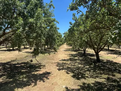 12400 E Keyes Rd, Denair, CA 95316 photo 17