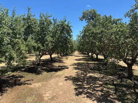 12400 E Keyes Rd, Denair, CA 95316 photo 19