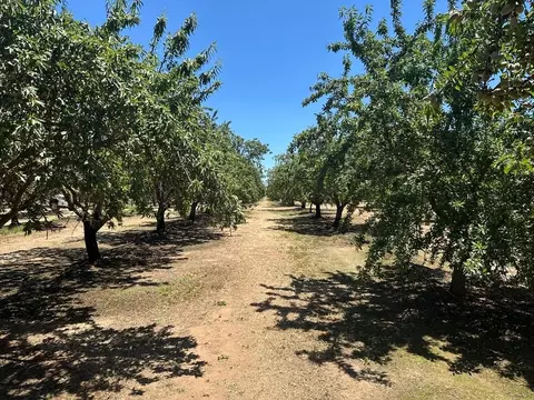 12400 E Keyes Rd, Denair, CA 95316 photo 21