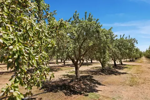 12400 E Keyes Rd, Denair, CA 95316 photo 16