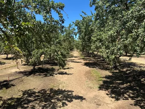 12400 E Keyes Rd, Denair, CA 95316 photo 18
