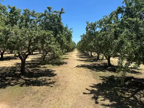 12400 E Keyes Rd, Denair, CA 95316 photo 20