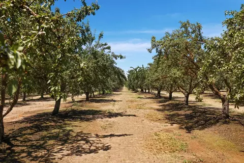 12400 E Keyes Rd, Denair, CA 95316 photo 13