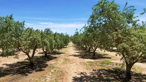 12400 E Keyes Rd, Denair, CA 95316 photo 15