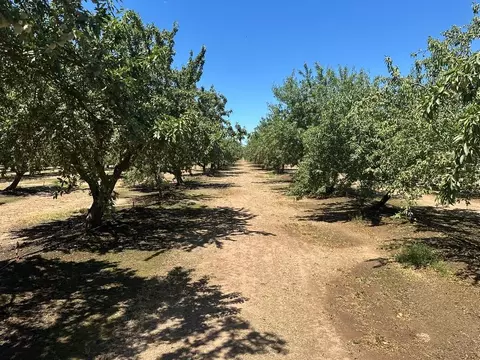 12400 E Keyes Rd, Denair, CA 95316 photo 22