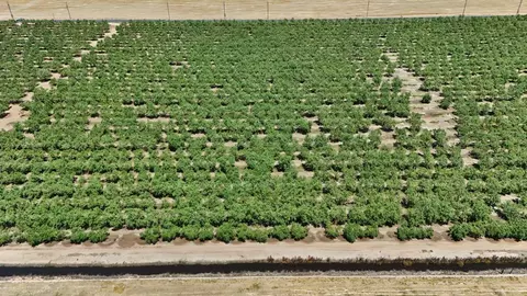 12400 E Keyes Rd, Denair, CA 95316 photo 8