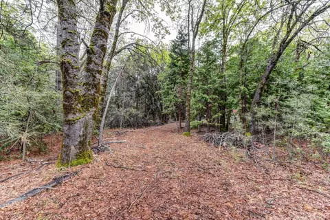 14481 Bobbie Ln, Pioneer, CA 95666