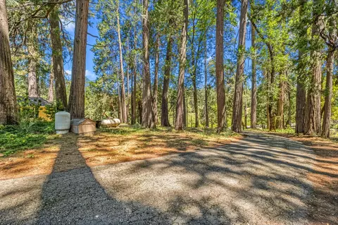 5660 State Highway 193, Georgetown, CA 95634 photo 49