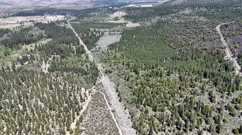 0 0 Black Butte Lookout Dr, Weed, CA 96094