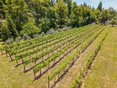 View/Area - 571 Tanner Ct, Murphys, CA 95247 photo 6 of 7