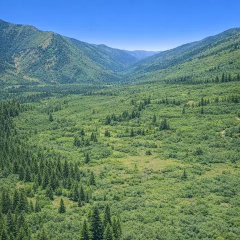 0 0 Cherry Maple Rd, Happy Camp, CA 96050