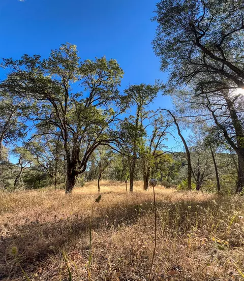 1031 Trails End Dr, Placerville, CA 95667 photo 12