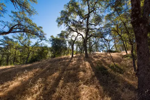 1031 Trails End Dr, Placerville, CA 95667 photo 2
